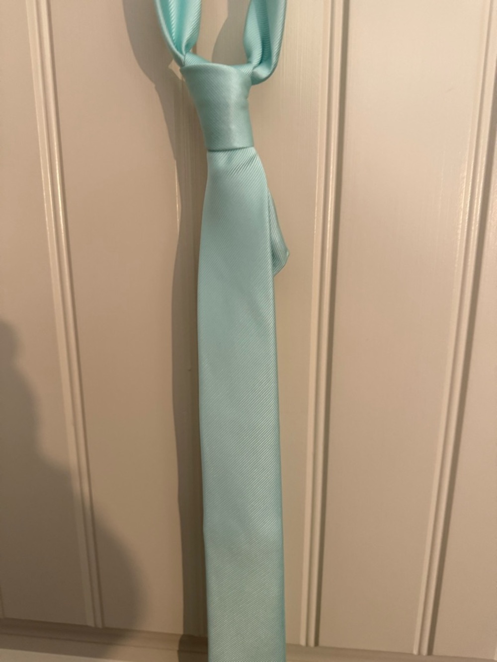 Mint green Solid Satin Tie